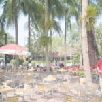 Nong Nooch Tropical Garden Gay Paradies Pattaya